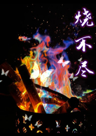 烧不尽广播剧第三集