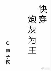 炮灰为王[快穿]by甲子亥未删减