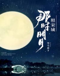 那时明月照宋城男主